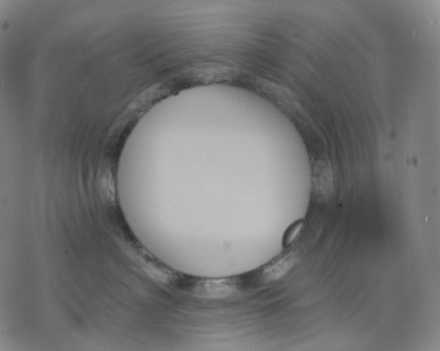 X0000071800622200607211648