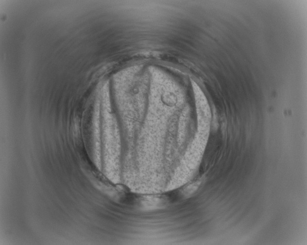 X0000071800623200607211648