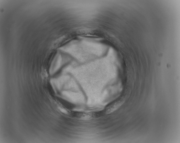 X0000071800624200607211648