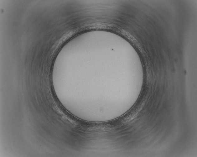 X0000071800625200607211647