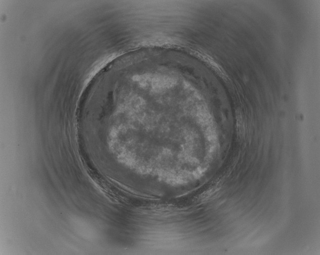 X0000071800626200607211648