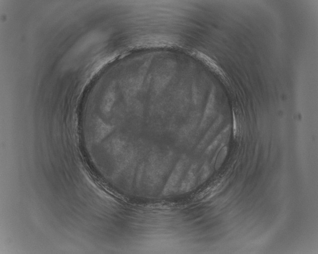 X0000071800627200607211648