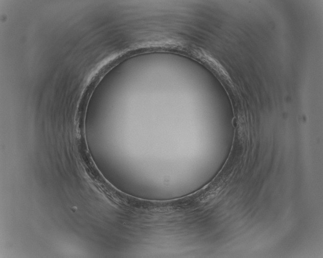 X0000071800628200607211648