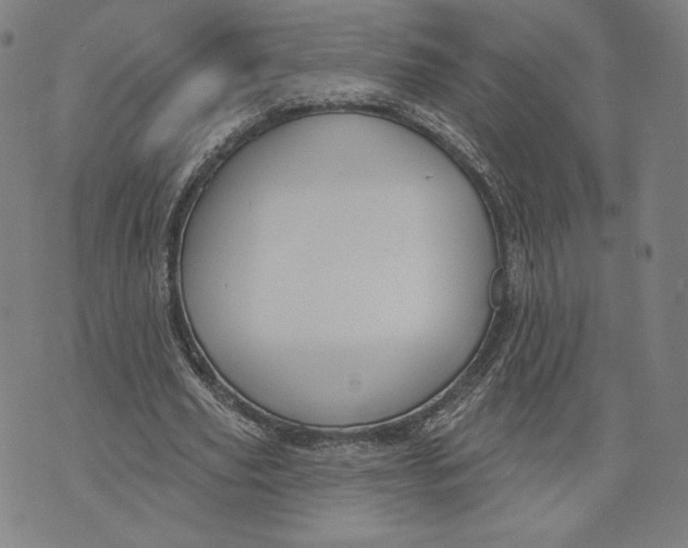 X0000071800629200607211648