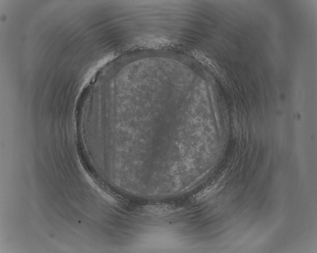 X0000071800630200607211648