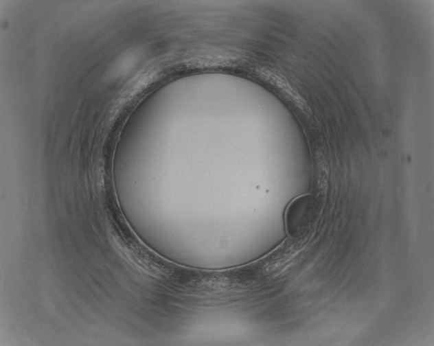 X0000071800631200607211648