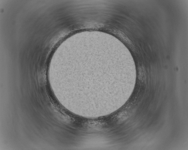 X0000071800632200607211648