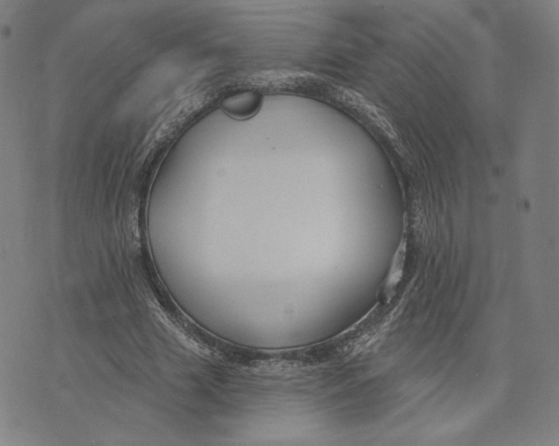 X0000071800633200607211648