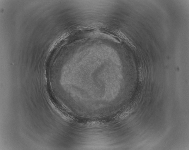 X0000071800634200607211648