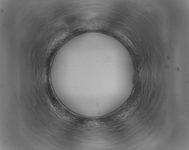 X0000071800635200607211648