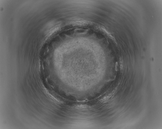 X0000071800637200607211648