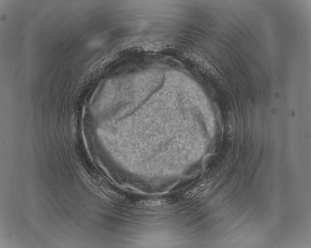 X0000071800639200607211648