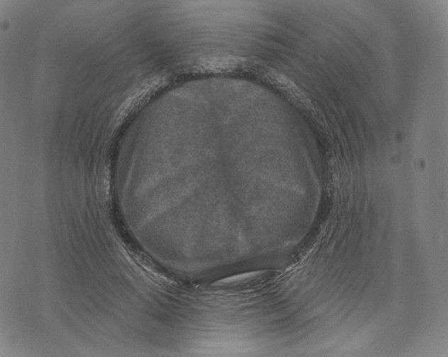 X0000071800640200607211648