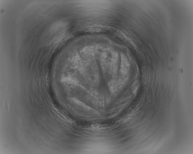 X0000071800641200607211648