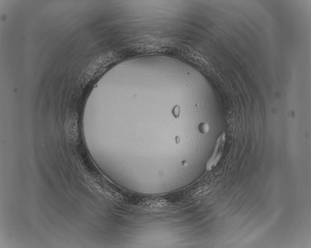 X0000071800642200607211648