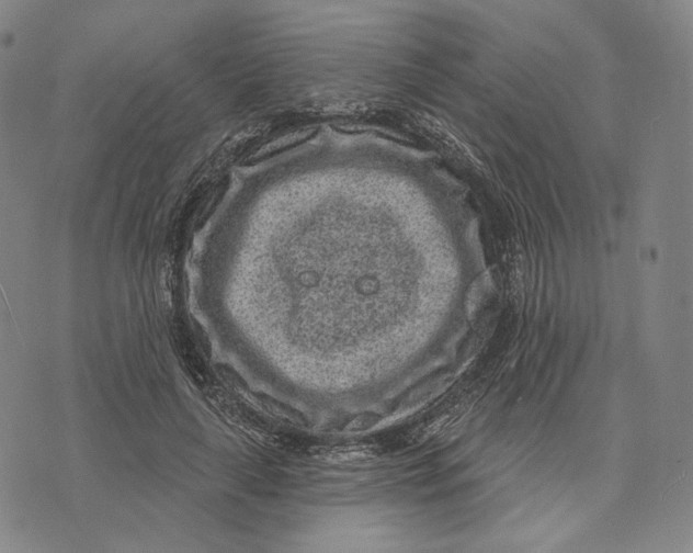 X0000071800643200607211648