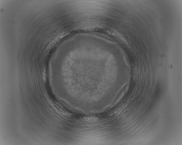 X0000071800644200607211648