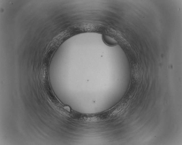 X0000071800645200607211648