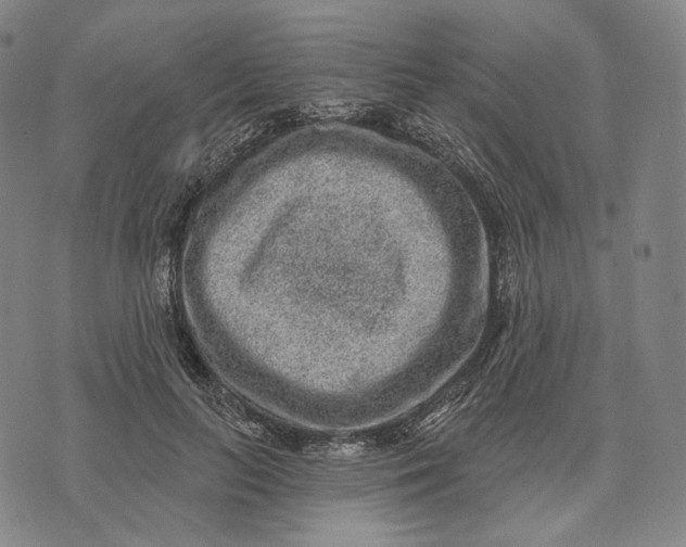 X0000071800647200607211648