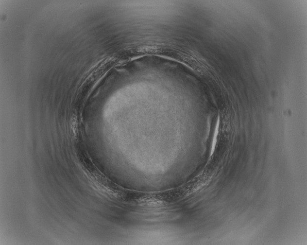 X0000071800648200607211648