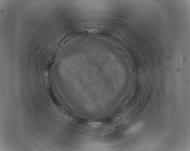 X0000071800650200607211648