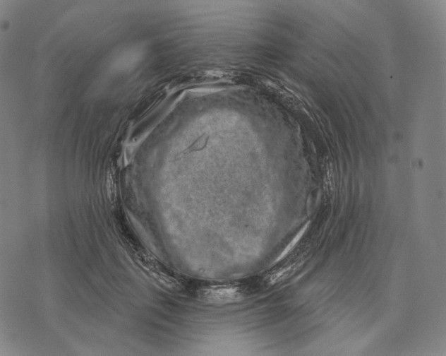 X0000071800651200607211648