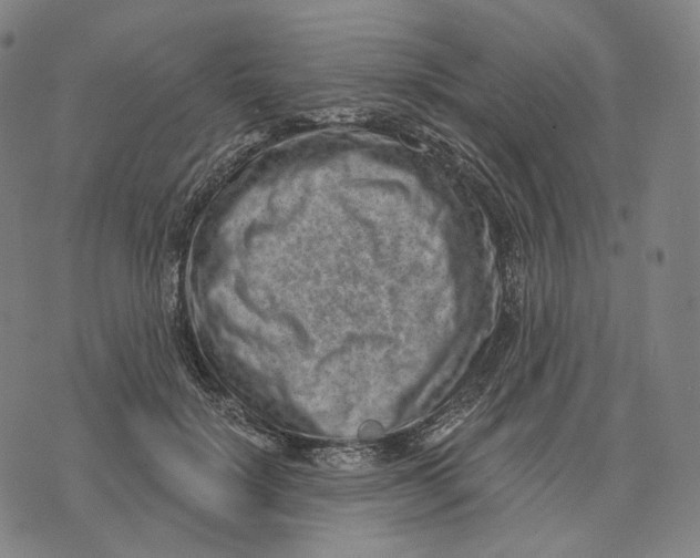 X0000071800652200607211648