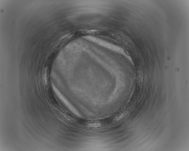 X0000071800653200607211648