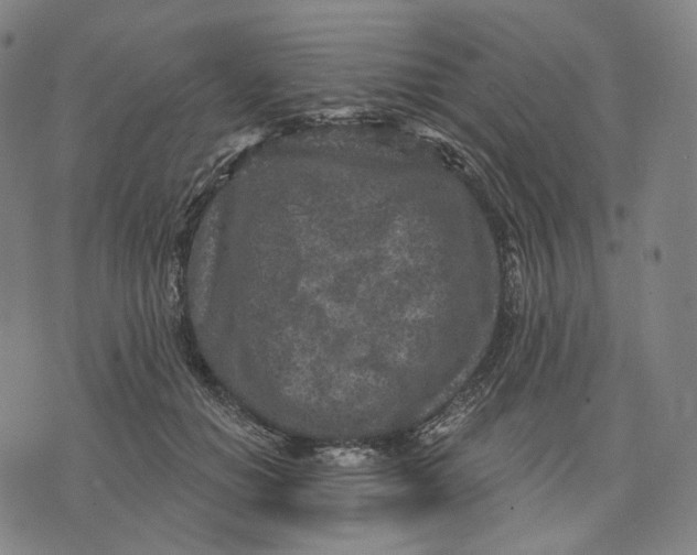 X0000071800654200607211648