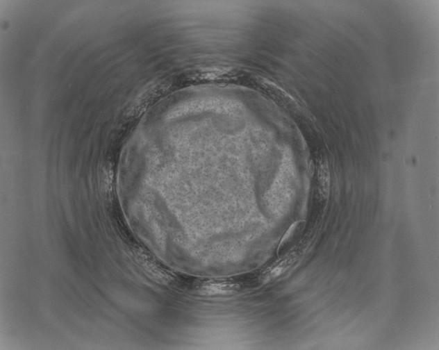 X0000071800657200607211648