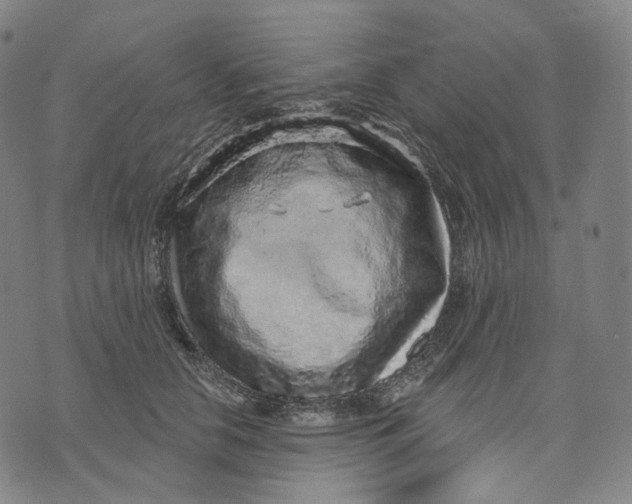 X0000071800658200607211648