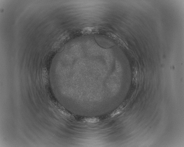 X0000071800659200607211648