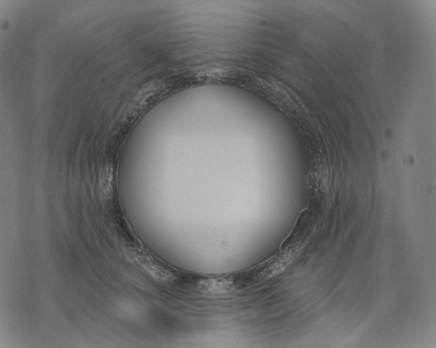 X0000071800660200607211648