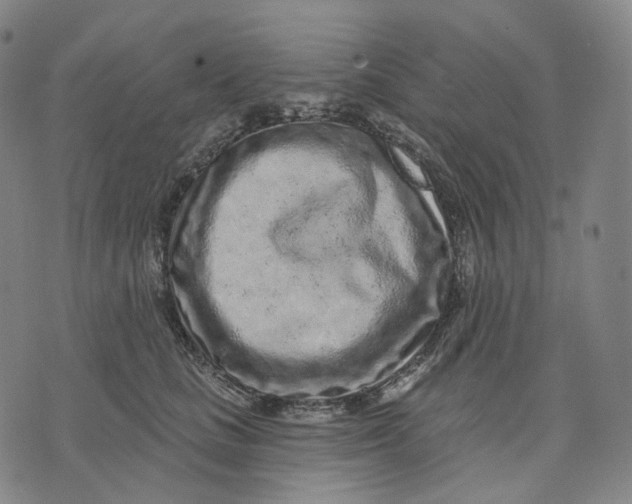 X0000071800661200607211648