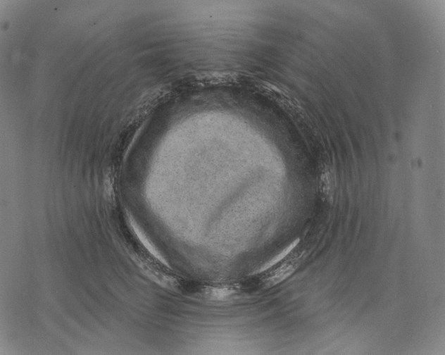 X0000071800662200607211648