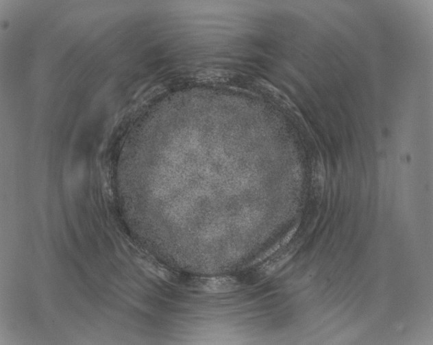 X0000071800663200607211648