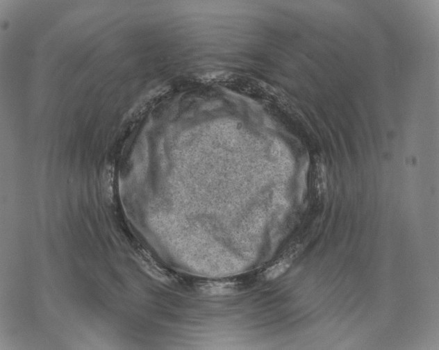 X0000071800664200607211648