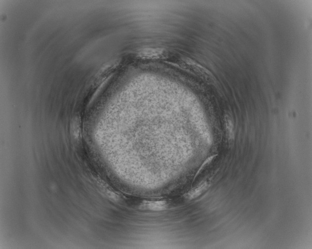 X0000071800665200607211648