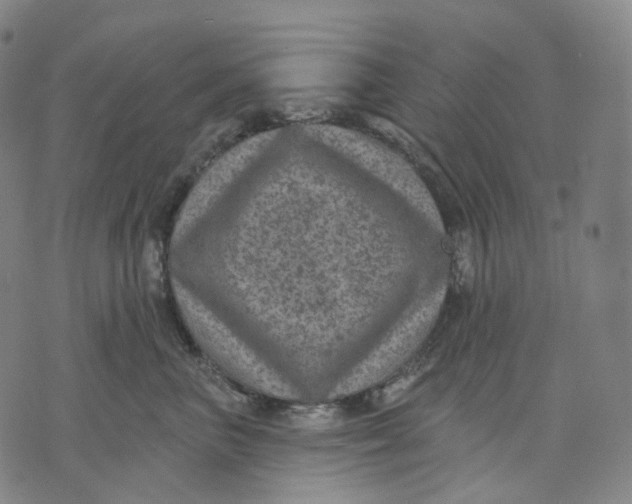 X0000071800667200607211648