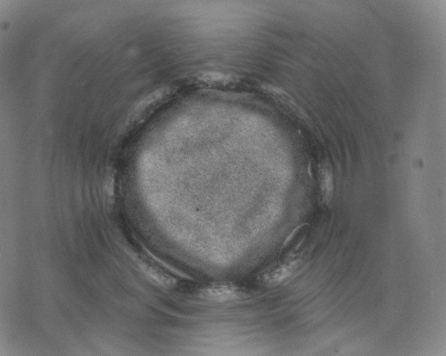 X0000071800668200607211648