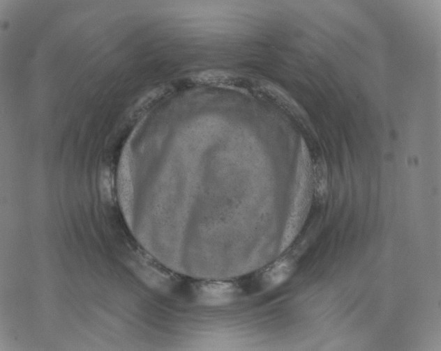 X0000071800669200607211648