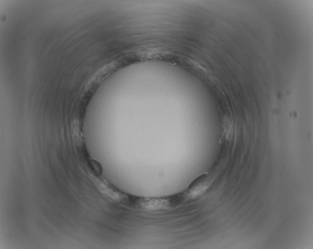 X0000071800670200607211648