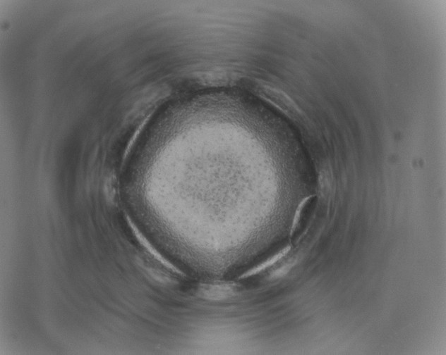 X0000071800671200607211648