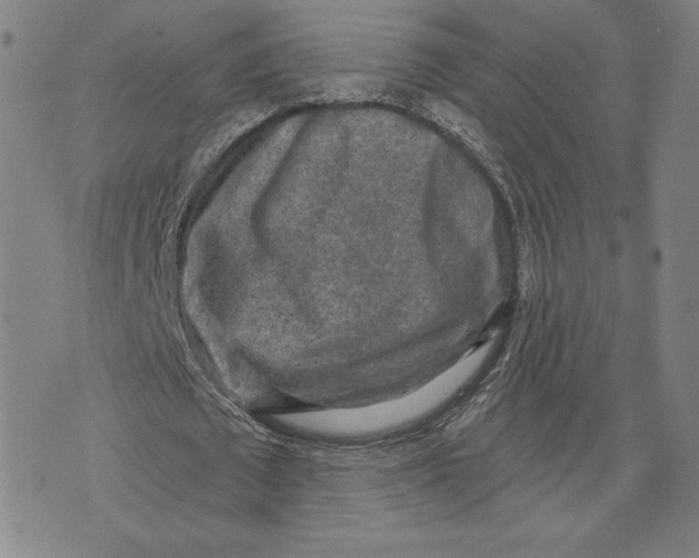 X0000071800673200607211647