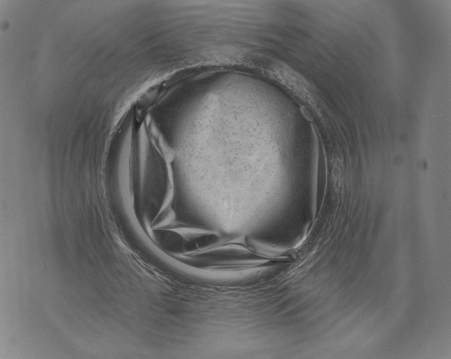 X0000071800676200607211647