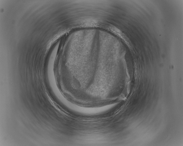 X0000071800677200607211647