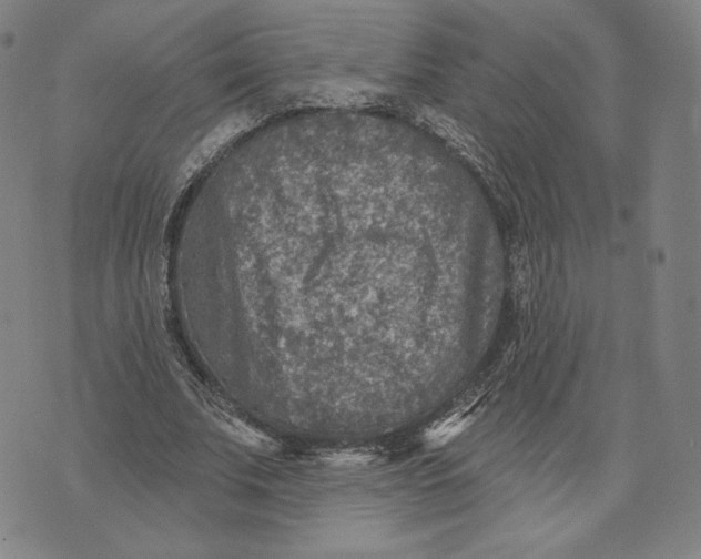 X0000071800679200607211647