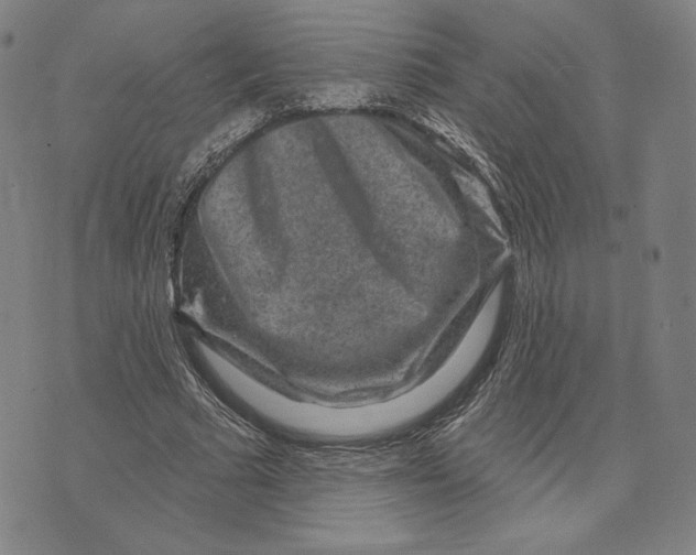 X0000071800681200607211647