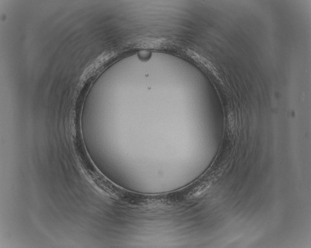 X0000071800682200607211647