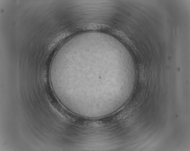 X0000071800683200607211647